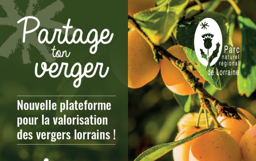 Partage Ton verger...